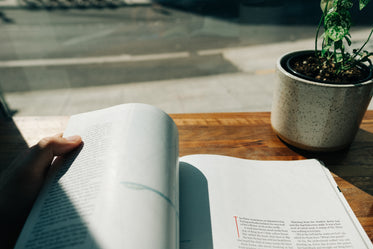 sun shining down on a magazine