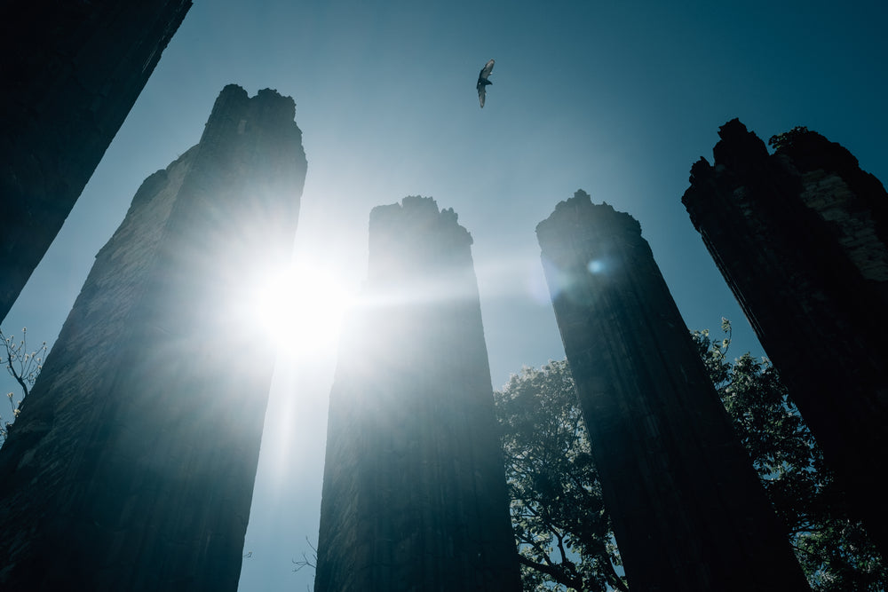 sunbeams shine between tall silhouetted towers