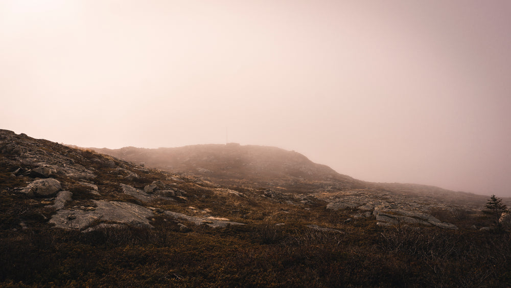 sunlight illuminates mist over hill