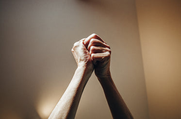 sunlight illuminates two grasped hands from above