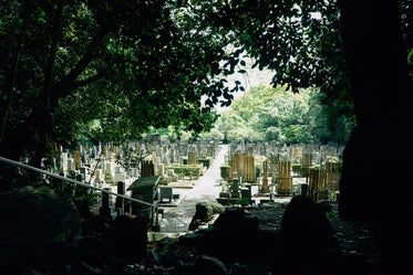 sunlight illuminating japanese cemetery