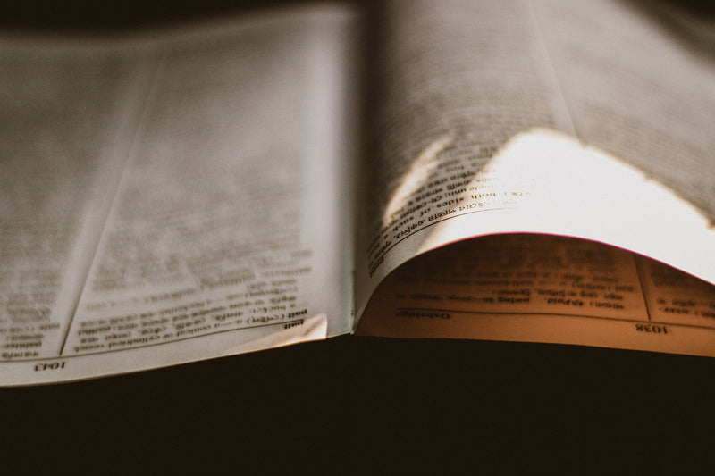 Sunlight falling across the pages of an open book