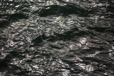 sunlight reflects on water texture