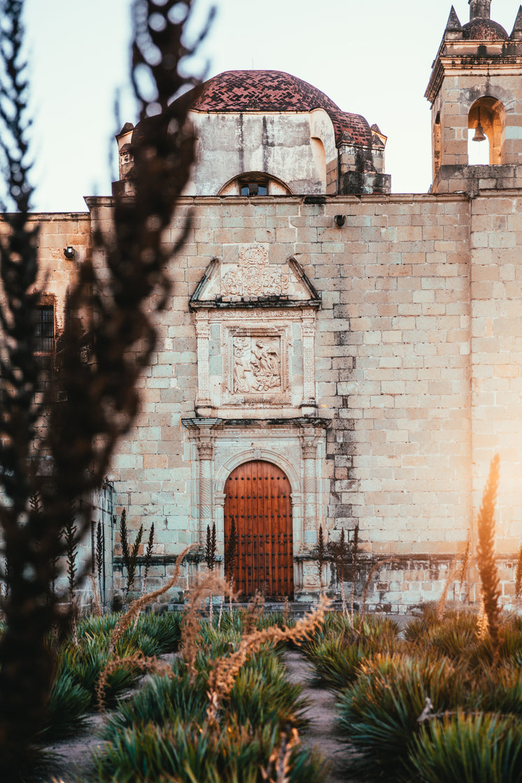 sunlit-palacio-de-bellas-artes.jpg?width