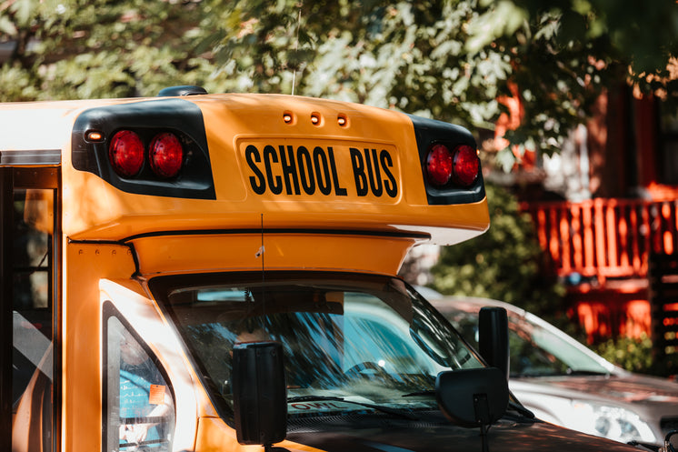 sunny school bus - Incredible CBD Edibles The Future
