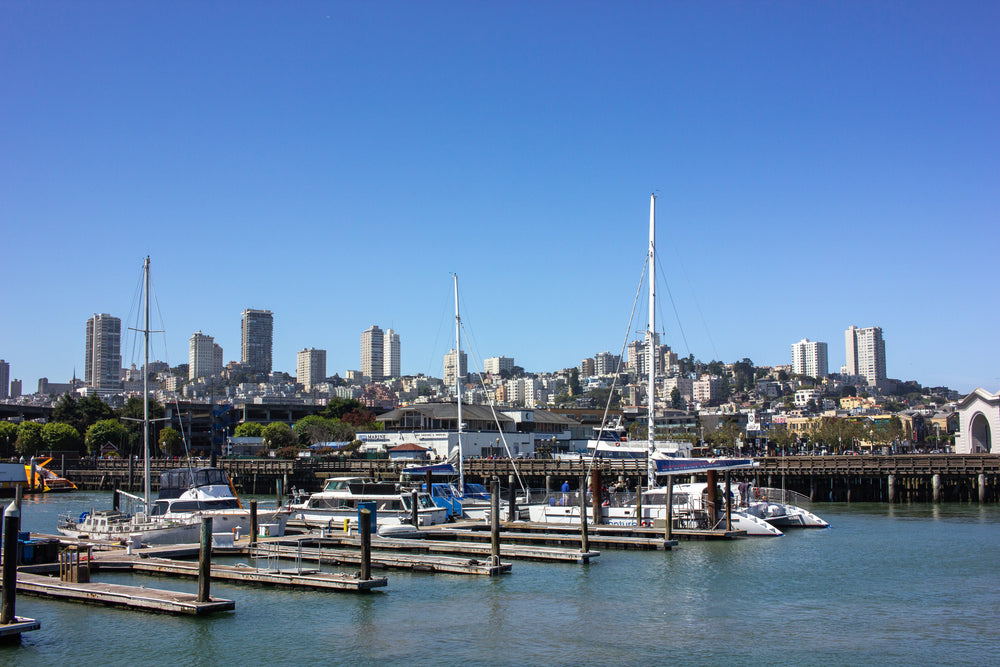 sunny urban marina