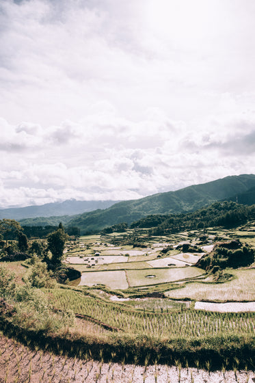 sunny valley of farmland filled with sunshine