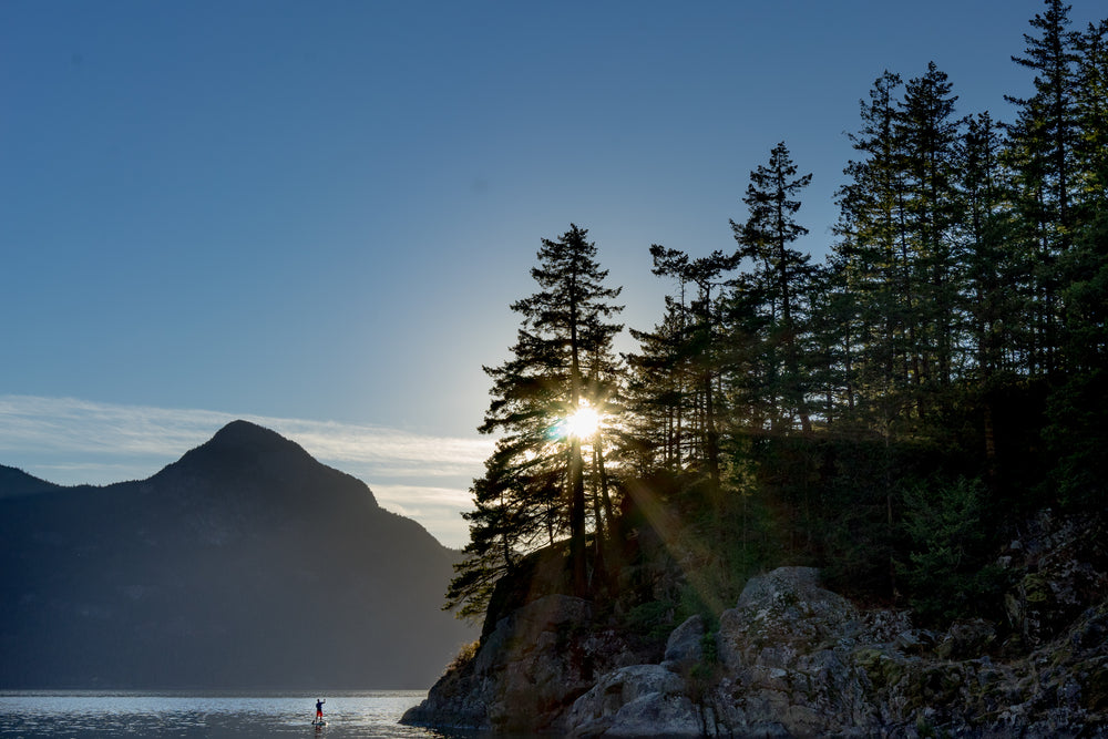 sunrise glaring through the trees as man takes to water