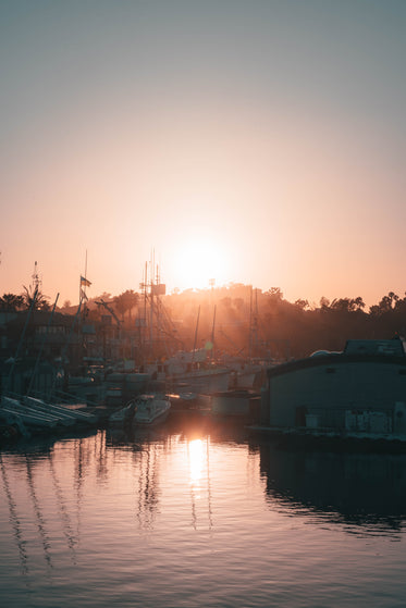 sunrise over the marina