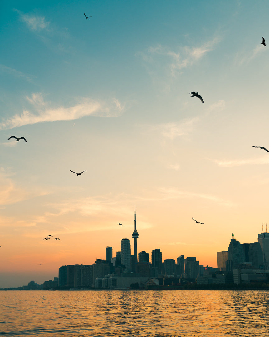 sunrise over the toronto skyline