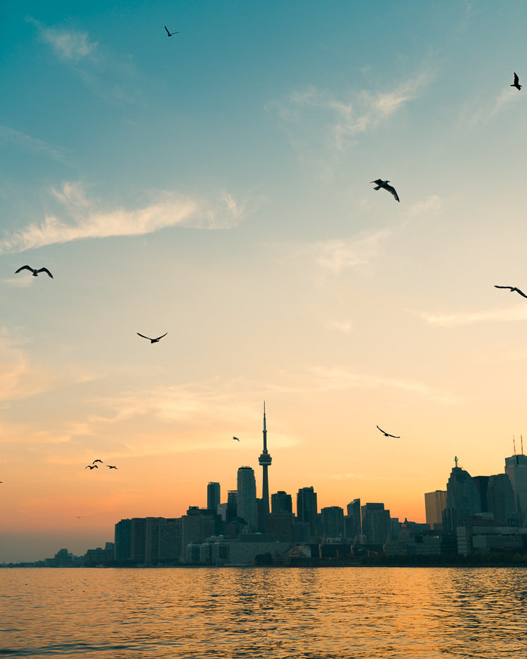 Sunrise Over The Toronto Skyline