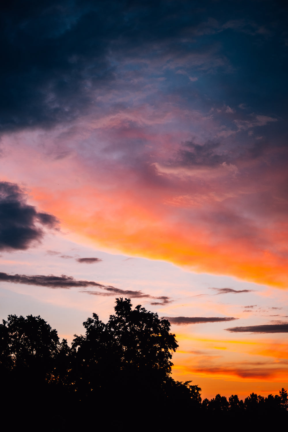 sunset creates colorful sky over trees