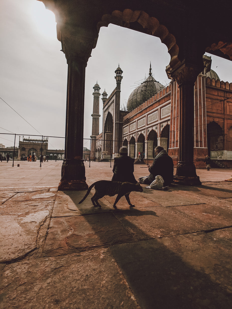 Picture of Sunset In Indian Square β Free Stock Photo