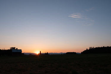 sunset on farmland