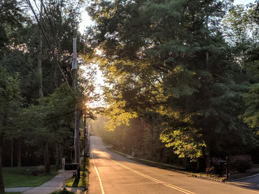 sunset on rural road in summer