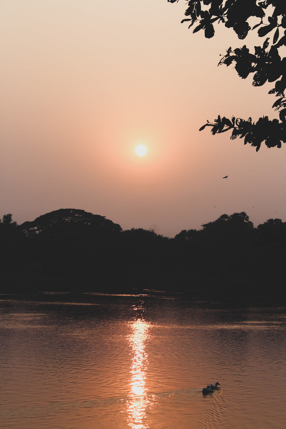 sunset on the lake