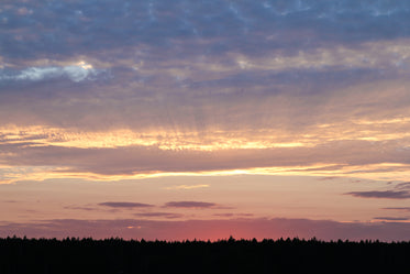 sunset over black forest