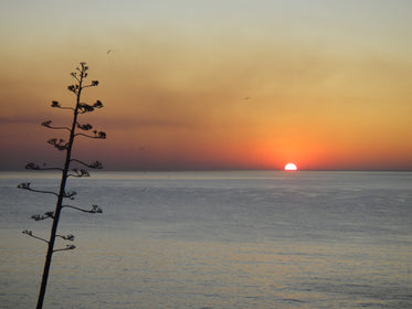 sunset over calm lake