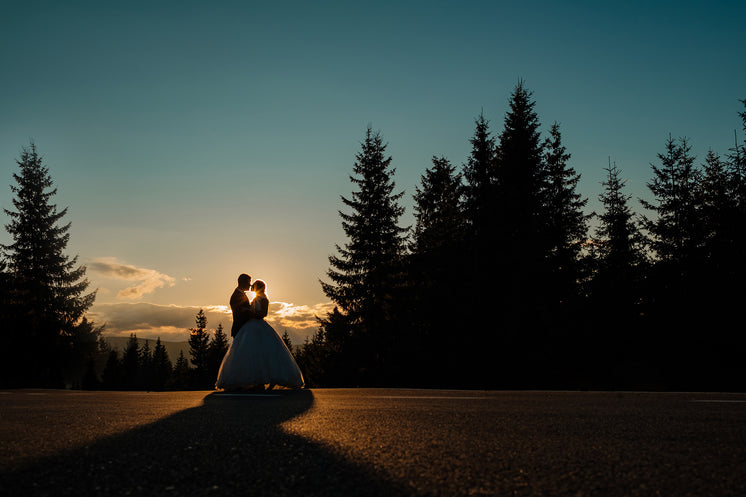 sunset-silhouettes-a-bride-and-groom-facing-each-other.jpg?width=746&format=pjpg&exif=0&iptc=0