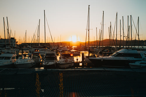 sunsets in a marina full of boats