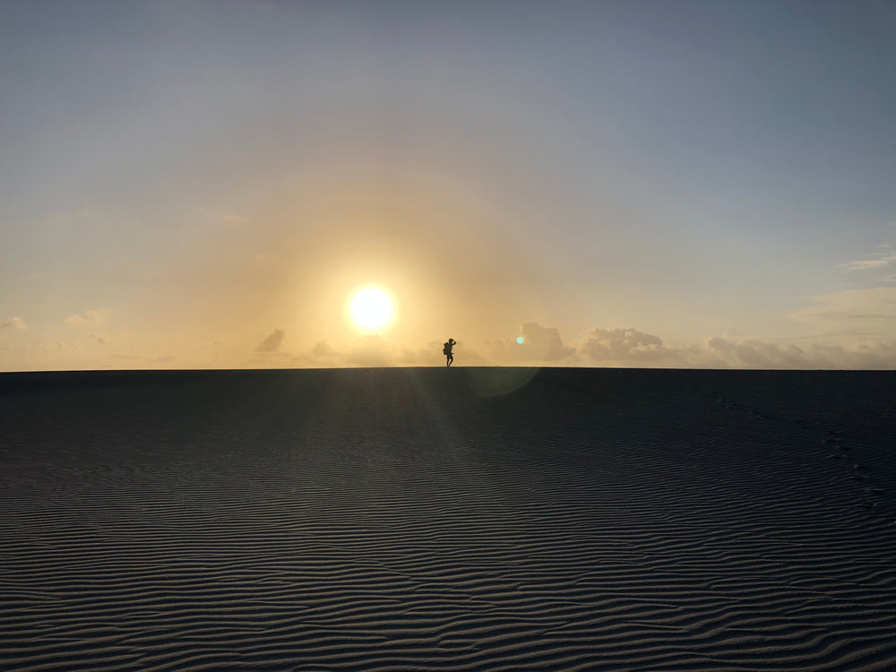 sunsets in the desert silhouetting a person