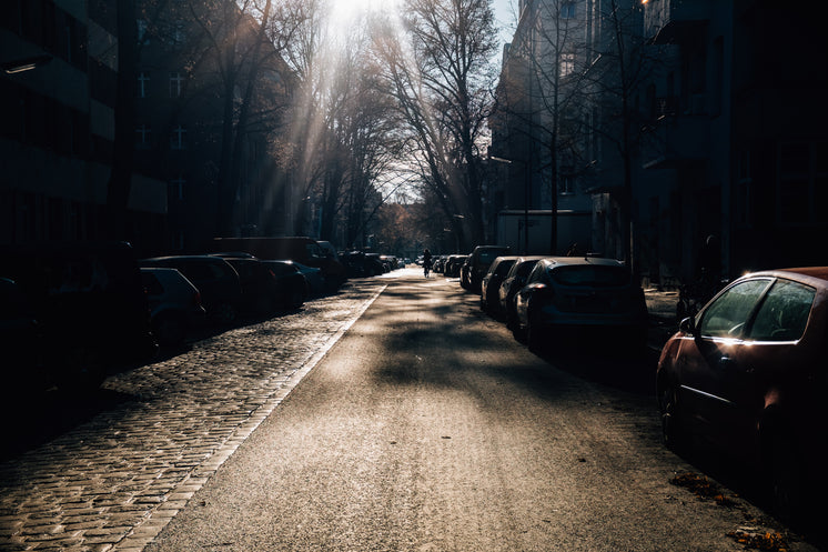 Sunshine On City Street