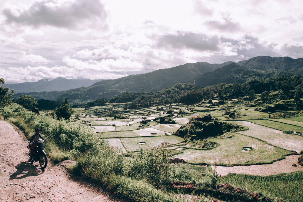 sunshiney indonesian valley filled with rice paddies