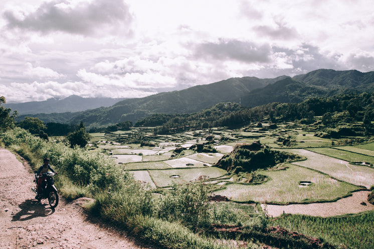sunshiney-indonesian-valley-filled-with-rice-paddies.jpg?width=746&amp;format=pjpg&amp;exif=0&amp;iptc=0