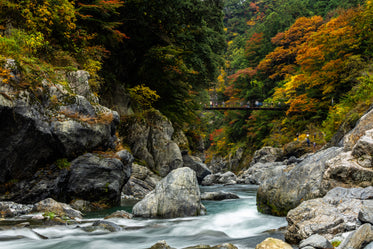 suspended walking bridge over river rapids