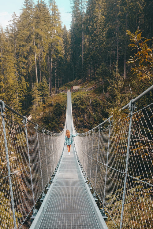 suspension bridge leads to lush tall forest