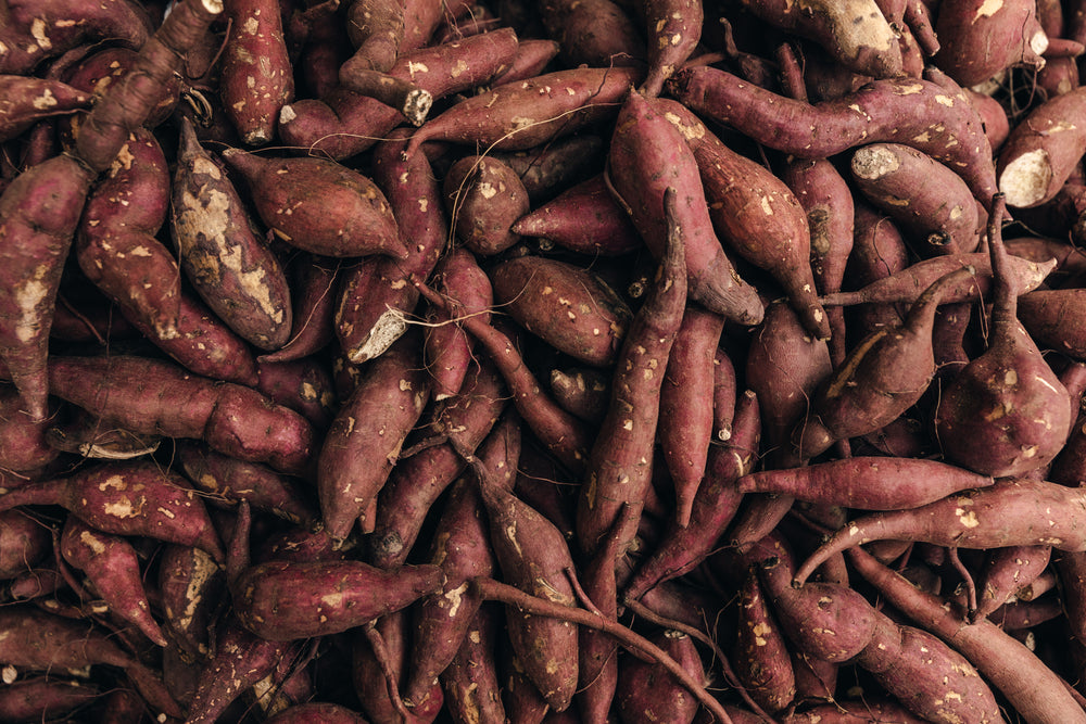 sweet potato pile