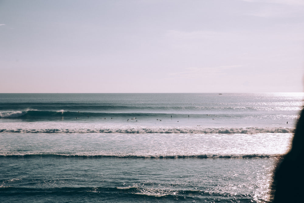 swimmers and surfers scattered along gentle waves