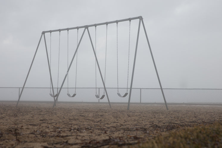 Swingset In Fog