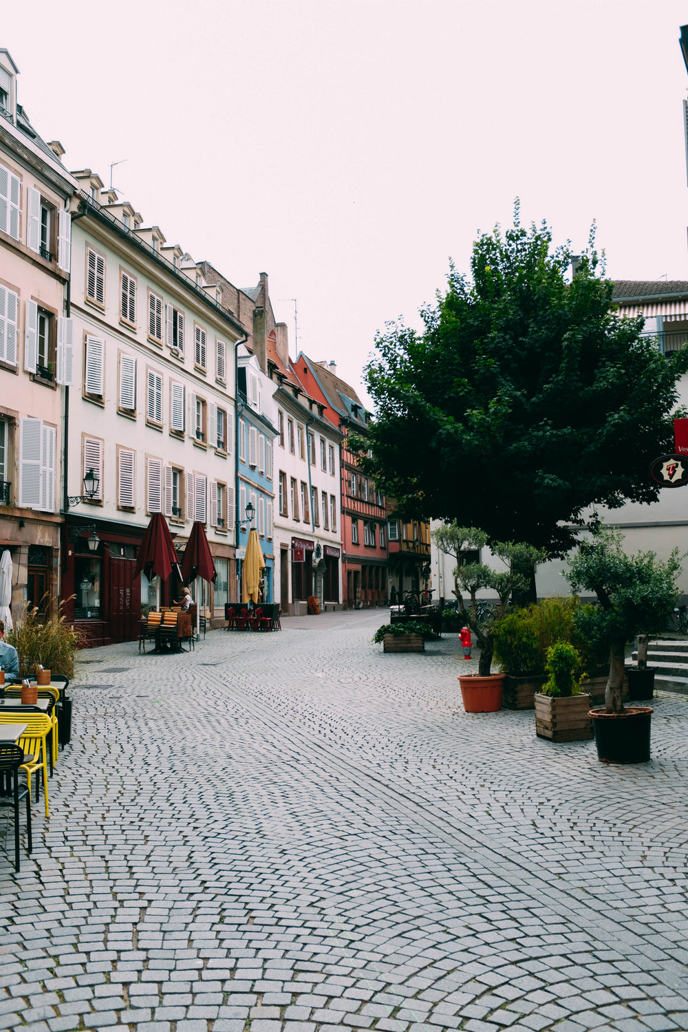 tables from cafes and a tree line a cobbled street