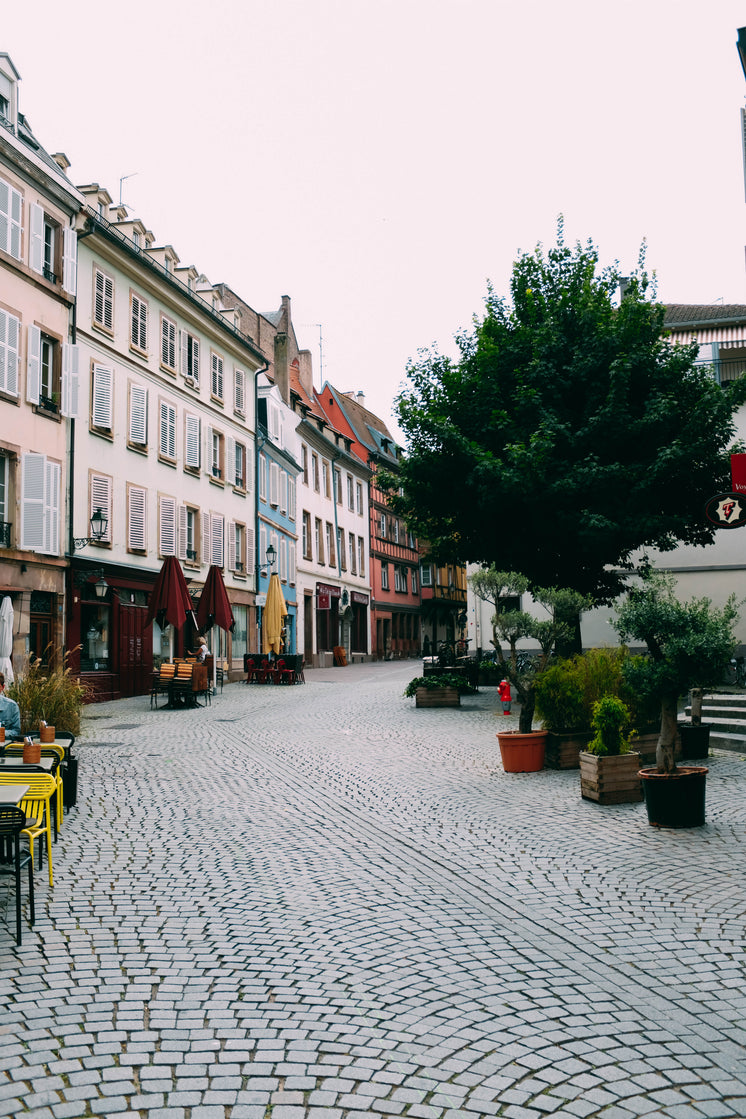Tables From Cafes And A Tree Line A Cobbled Street