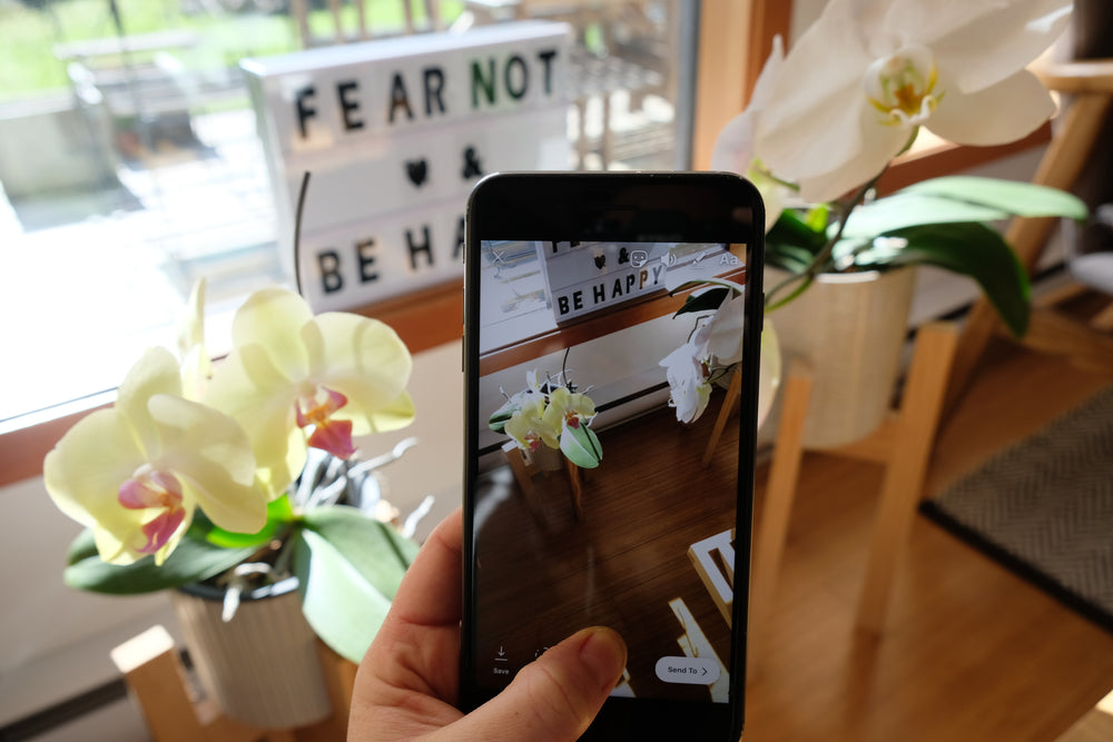 taking cell phone photos of orchids by windowsill