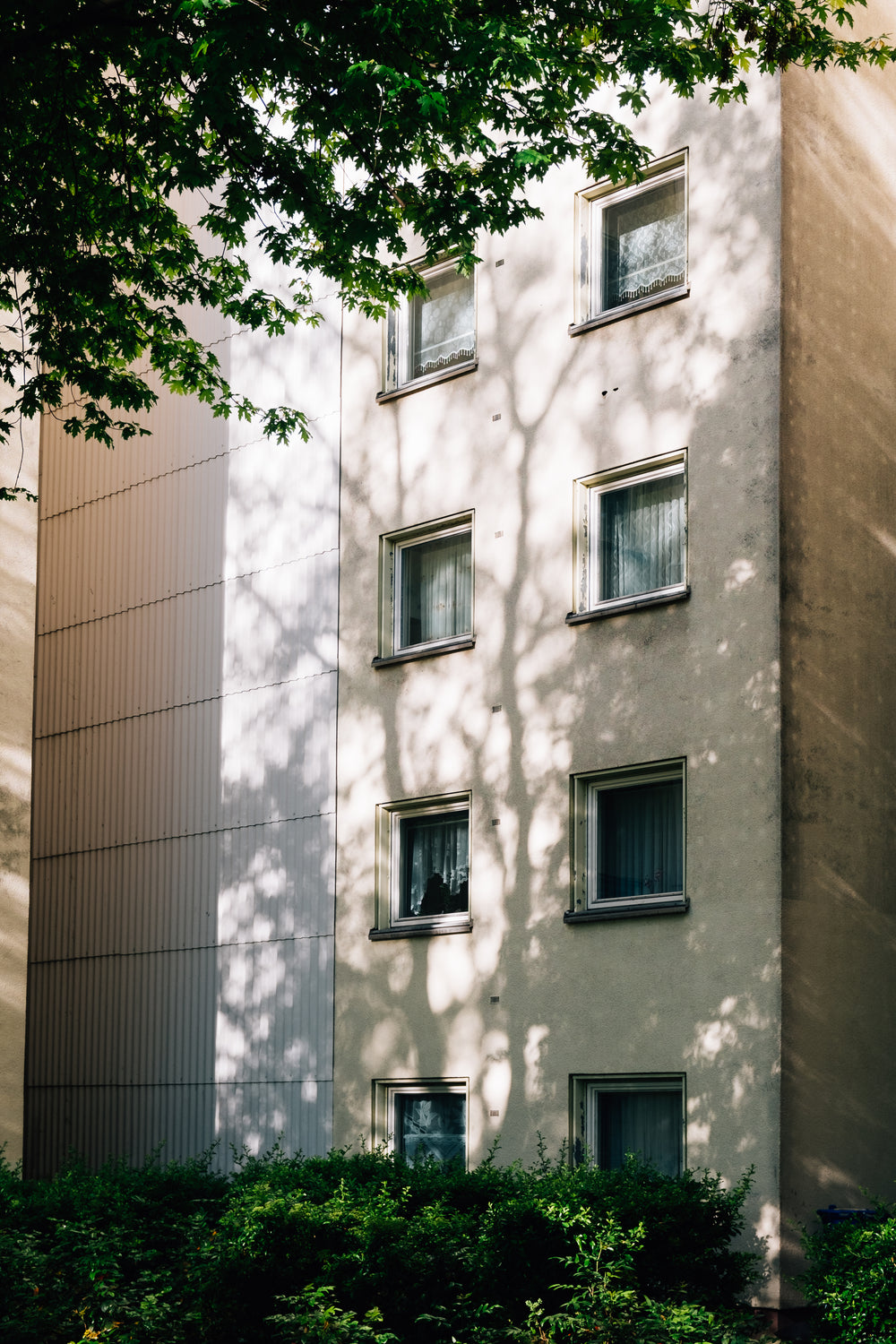 tall building with square windows surrounded by green