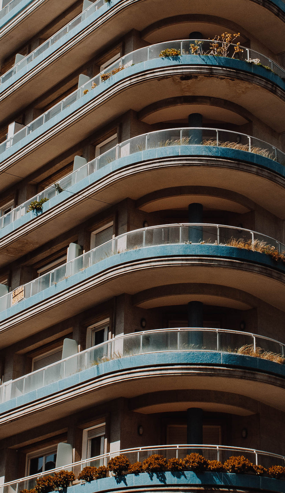 tall building with window planters