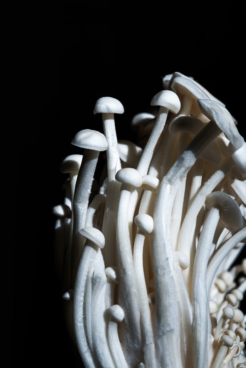 tall white enoki mushrooms