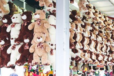 Free Teddy Bear Carnival Prizes Photo — High Res Pictures