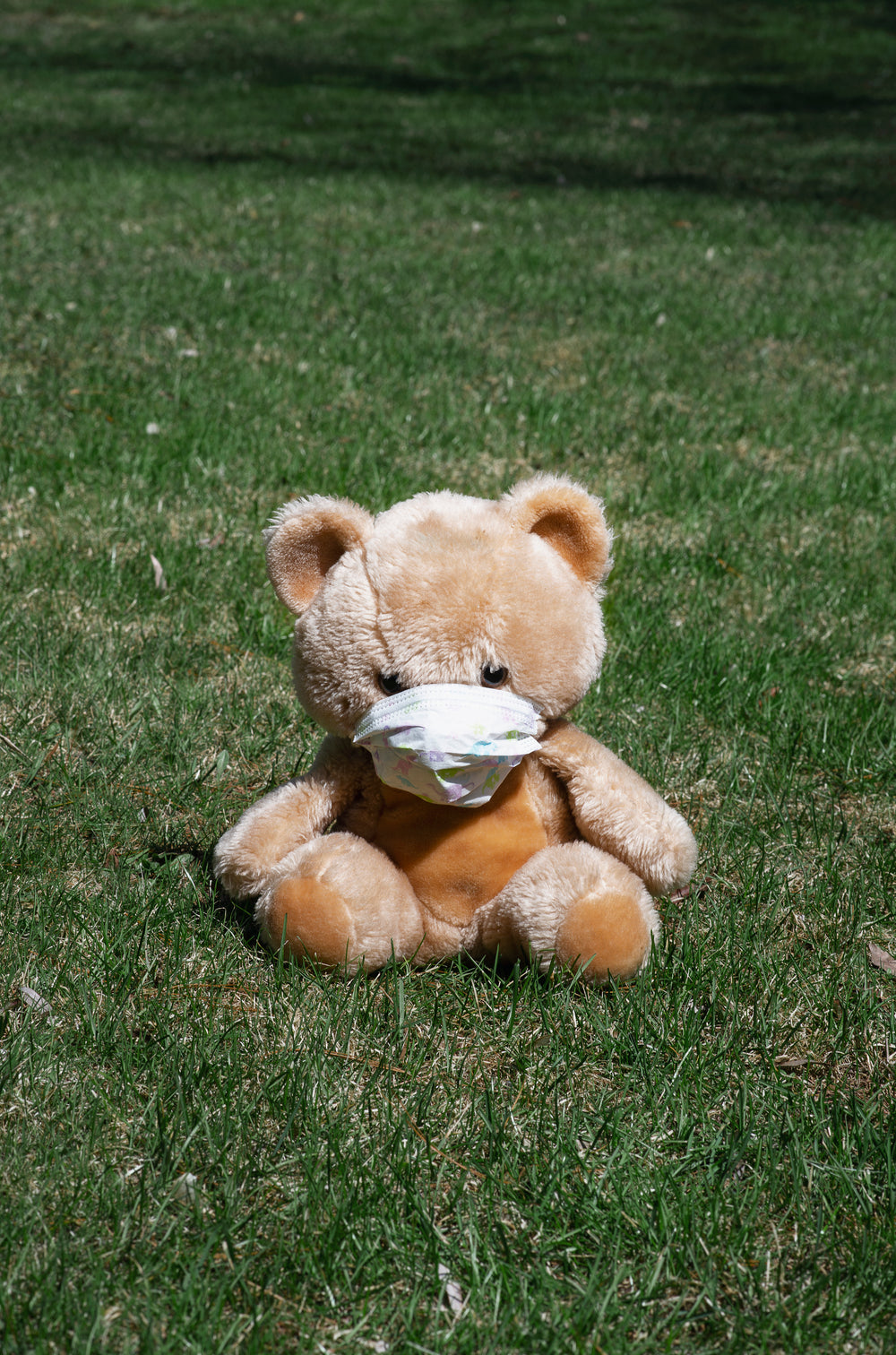 teddy bear on the grass with a face mask