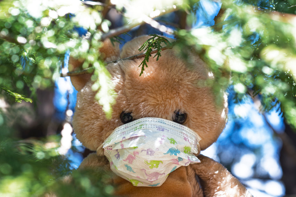 teddy with face mask in the trees