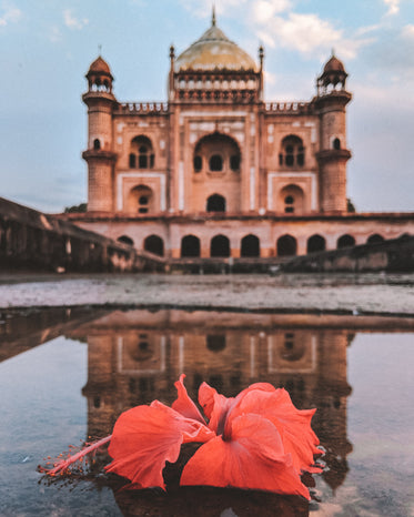 temple flower