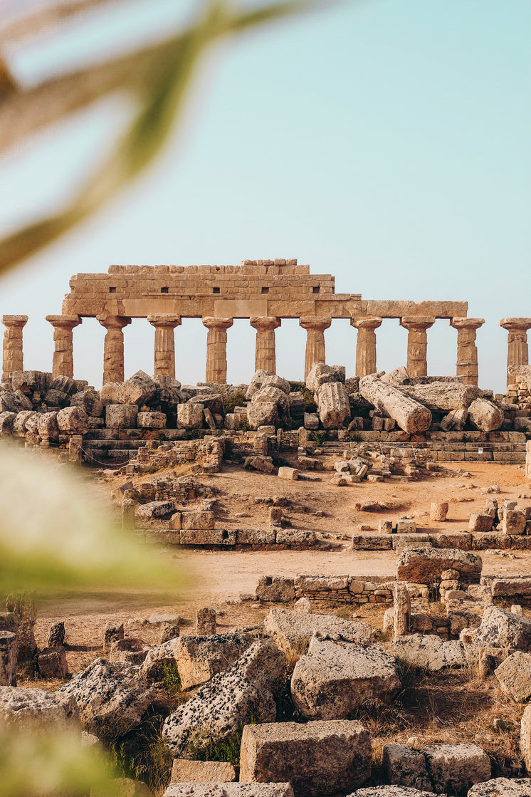 temple-ruins-inside-selinunte-archaeolog