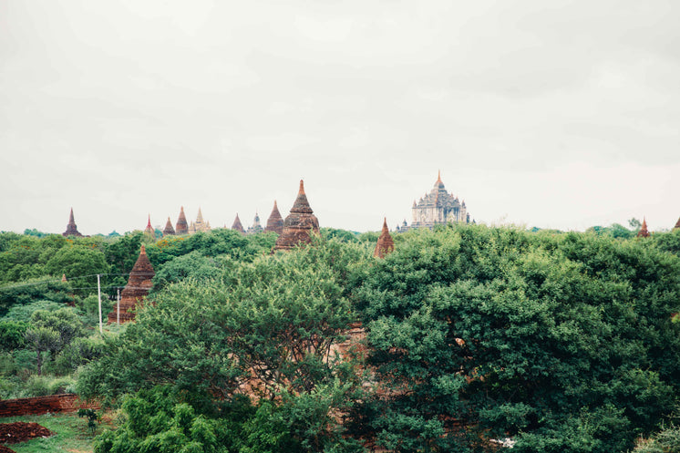 temples-treetops.jpg?width=746&format=pjpg&exif=0&iptc=0