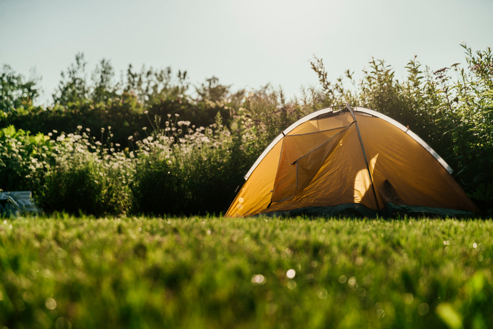 tent at fields edge