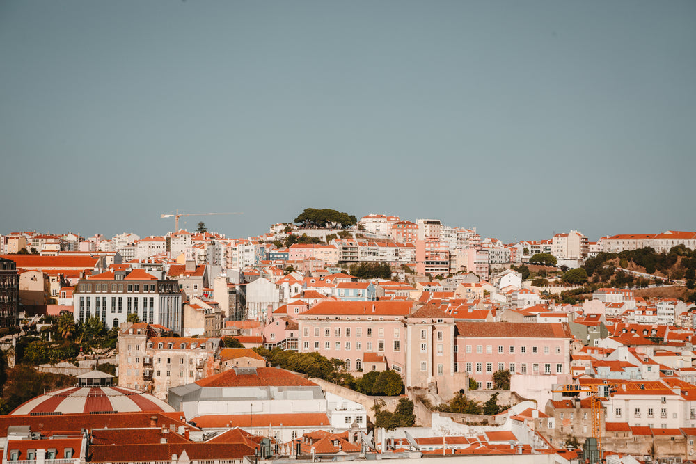 terracotta city roofs