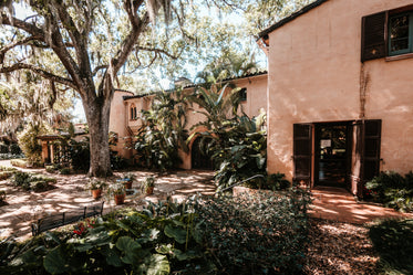 terracotta house with lush backyard