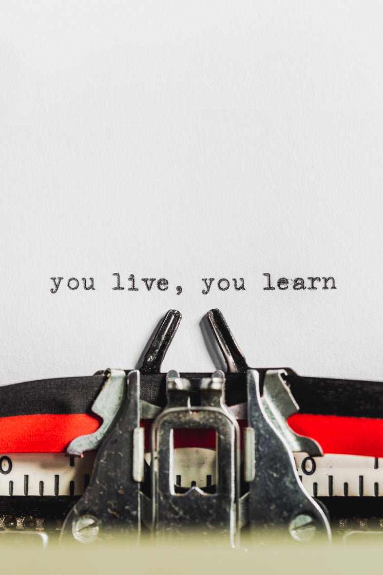 Text On Typewriter States You Live, You Learn