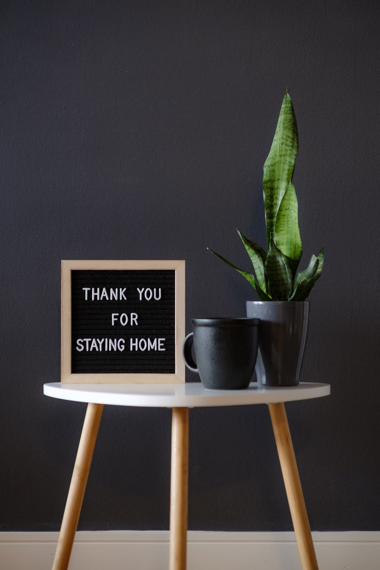 thank-you-for-staying-home.jpg?width=746